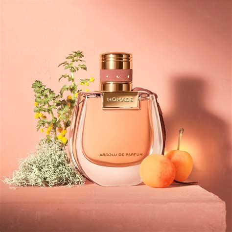 perfum chloe nomade|chloe nomade perfume best price.